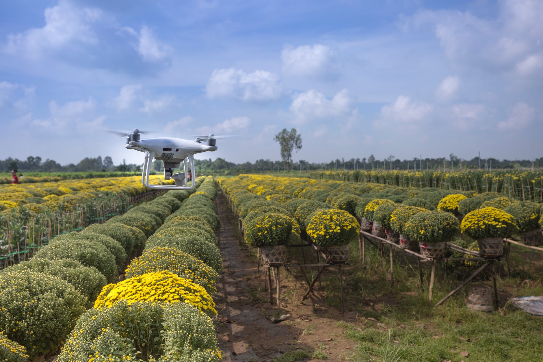 Nakuru Flower Farm